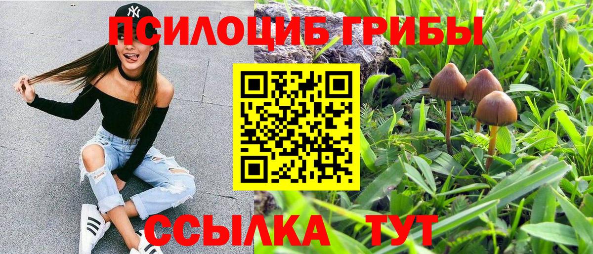 Сосновоборск  Псилоцибиновые грибы MAGIC MUSHROOMS  Вход с VPN 